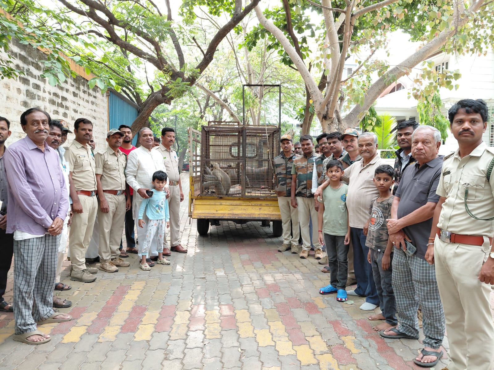 ಕೋತಿಗಳ ಹಾವಳಿ ಮೂರು ಜನರಿಗೆ ಗಾಯ!